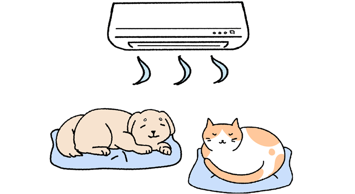 熱中症や脱水に気をつけましょう!