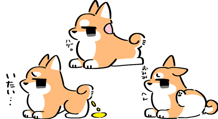 わんちゃん・ねこちゃんの皮膚トラブル