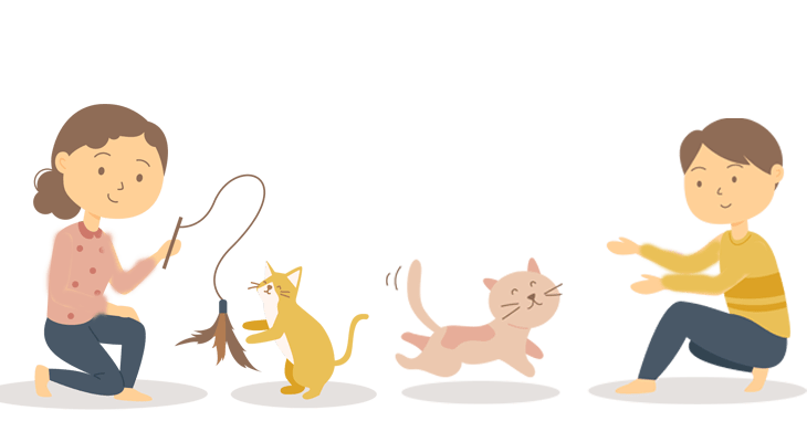 定期的に運動する時間を作ってあげましょう