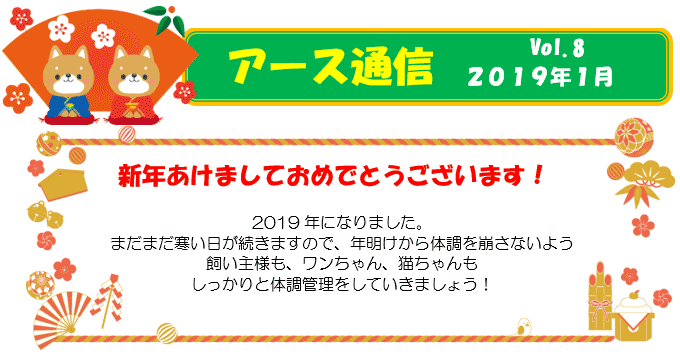 新年あけましておめでとうございます！