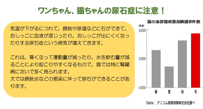 ワンちゃん、猫ちゃんの尿石症に注意！