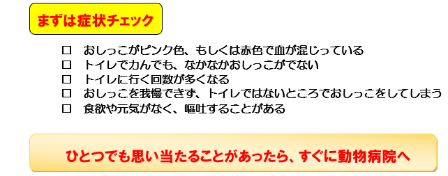 まずは症状チェック