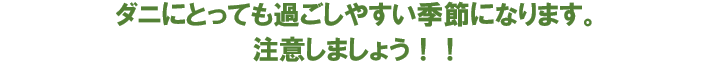 ダニにとっても過ごしやすい季節になります。注意しましょう！！