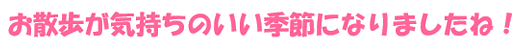 お散歩が気持ちのいい季節になりましたね！