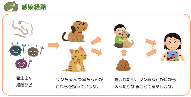 ズーノーシス（動物由来感染症）について