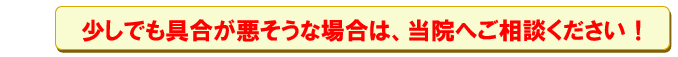 少しでも具合が悪そうな場合は、当院へご相談ください！