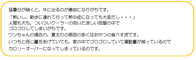 猛暑日が続くと、外に出るのが億劫になりがちです。