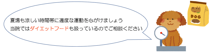 夏場も涼しい時間帯に適度な運動を心がけましょう