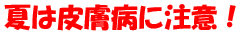 夏は皮膚病に注意!