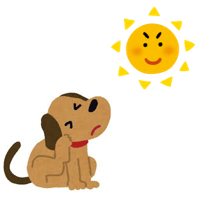 犬と太陽