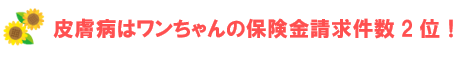 皮膚病はワンちゃんの保険金請求件数2位！