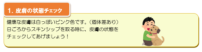 １．皮膚の状態をチェック