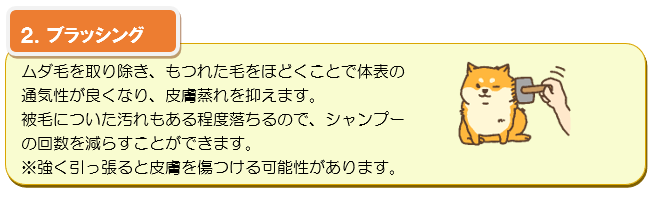 2.ブラッシング