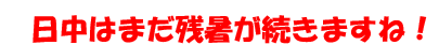 日中はまだ残暑が続きますね！