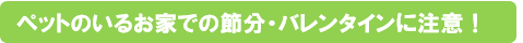 ペットのいるお家での節分・バレンタインに注意!