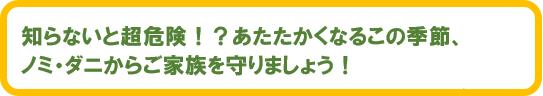 知らないと超危険！？あたたかくなるこの季節、ノミ・ダニからご家族を守りましょう！