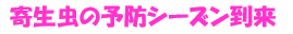 寄生虫の予防シーズン到来