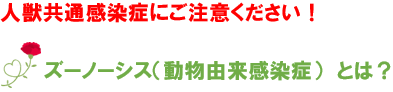 人獣共通感染症にご注意ください！