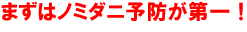 まずはノミダニ予防が第一!
