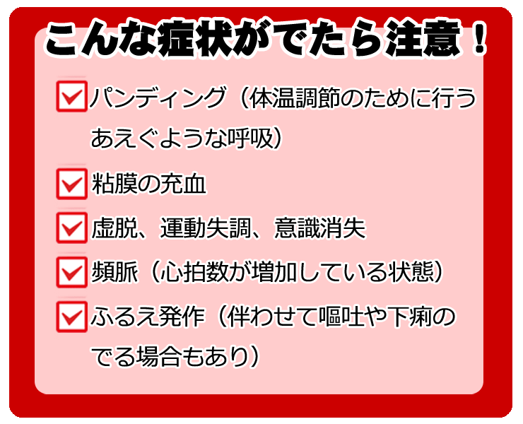 お散歩にご注意