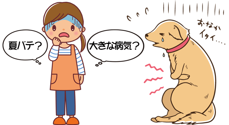 犬・猫の胃腸障害