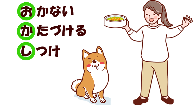 わんちゃんねこちゃん誤飲・誤食