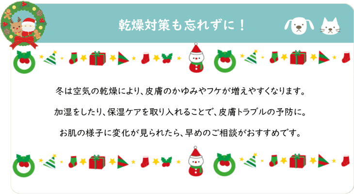 シニアの子たちにとって大切な時期です
