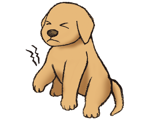 寒さによる関節トラブル