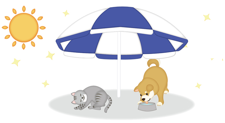 初夏の気配を感じます！！