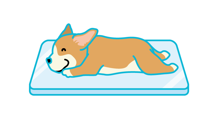 暑さ対策のポイント