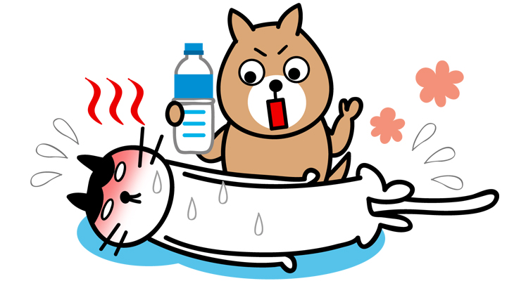 秋の「隠れ脱水」にご注意！