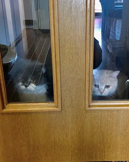 廊下にいるのに気づかず