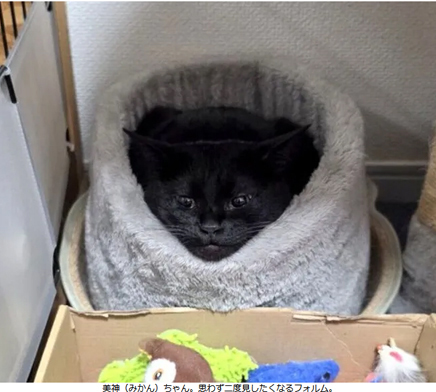 ふと見たら、「すごい三角」になっていた!?