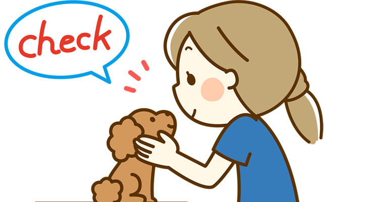 日々チェック