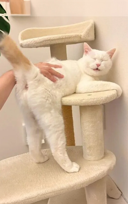 最高にいい顔