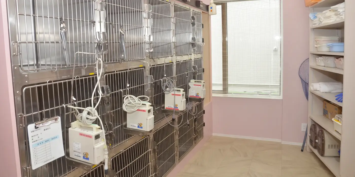 猫 入院室