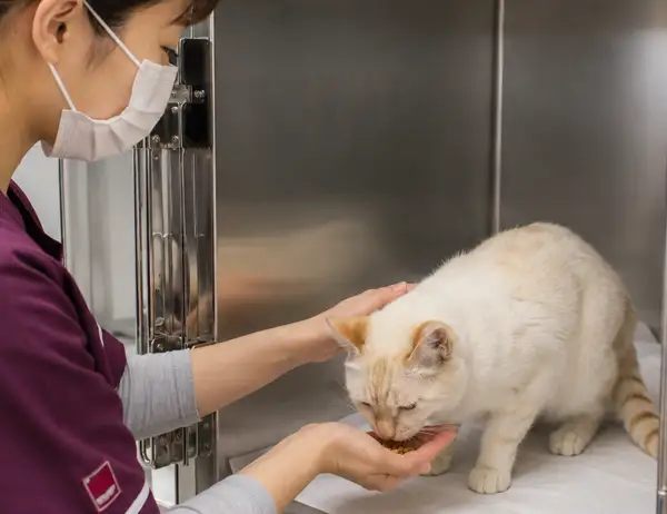 ペットホテルの様子｜アース動物病院