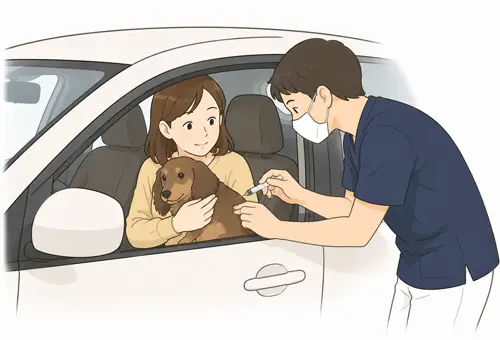 注射