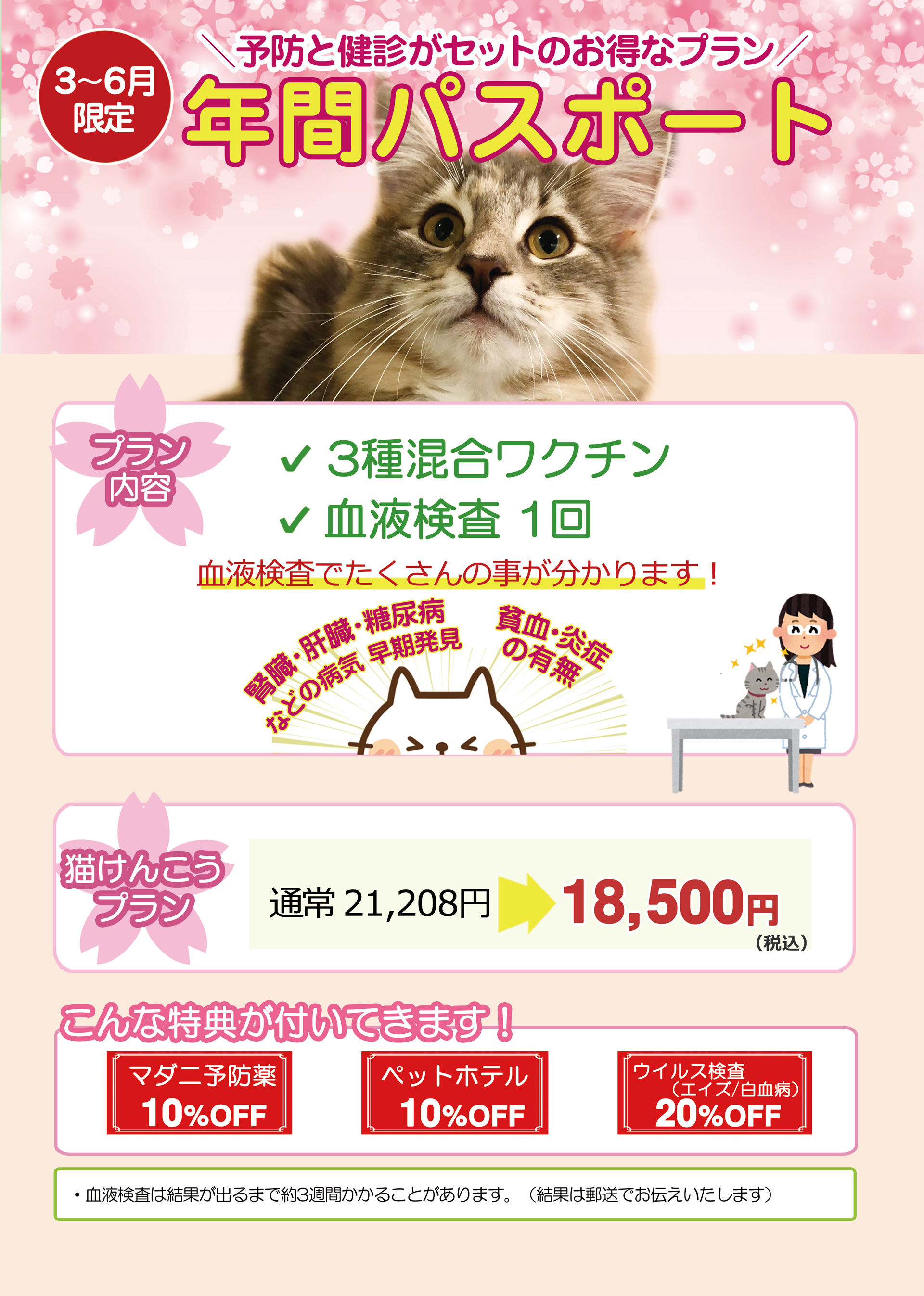 年間パスポート