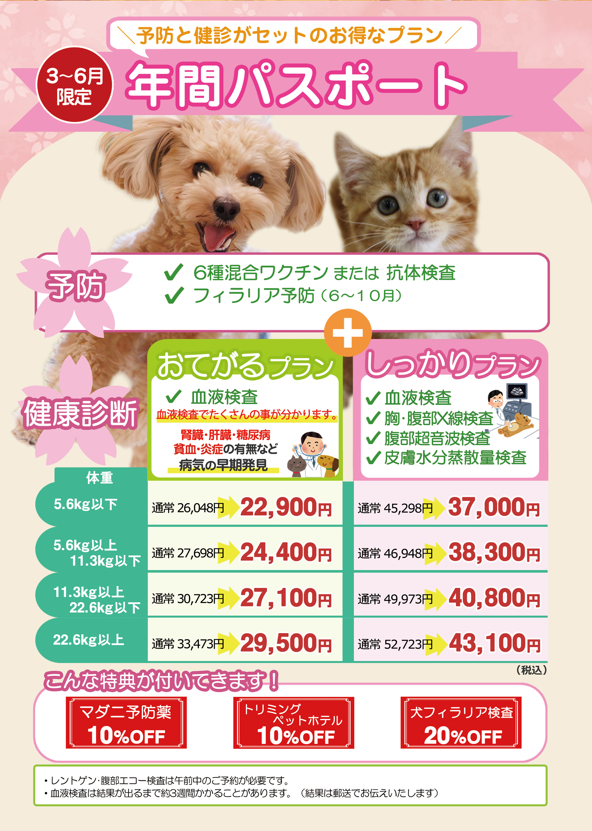 年間パスポート